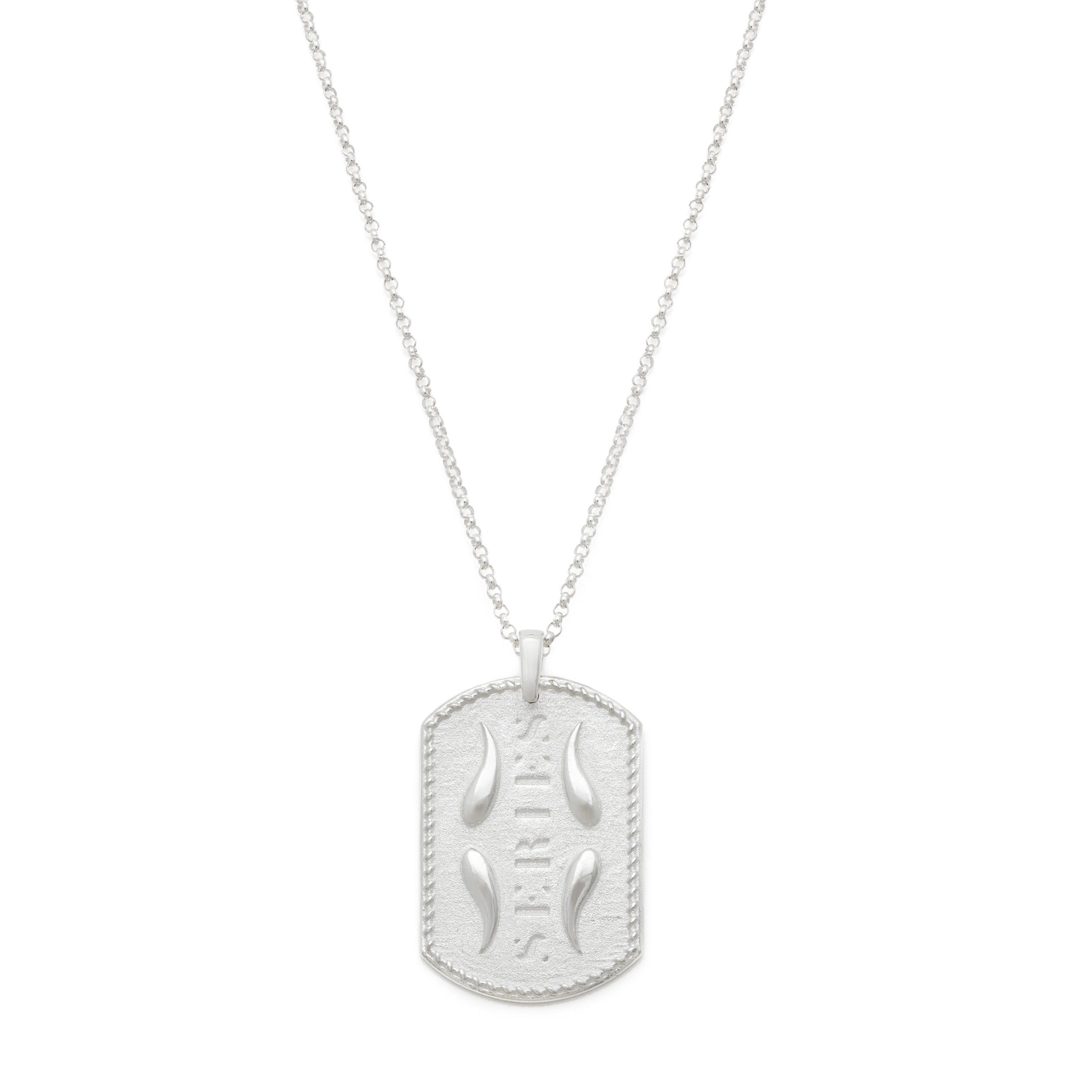 SERIES Necklace - Matte Silver
